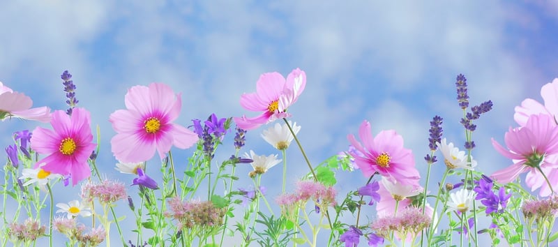 Whimsical Fairy